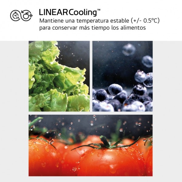 Frigorífico Americano LG GMB860PYDE 179x83cm E Inox