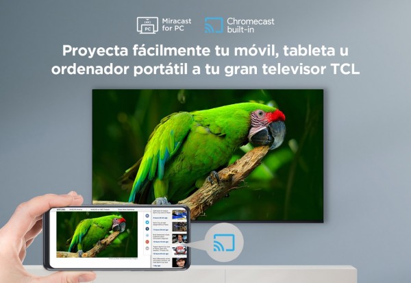 Televisor TCL 4K 55