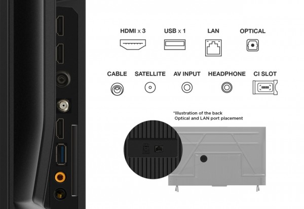 Televisor TCL 4K 55